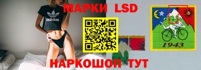 гидропоника Можга